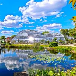 Flora and Botanical Garden - Cologne