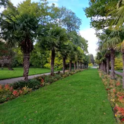 Flora and Botanical Garden - Cologne