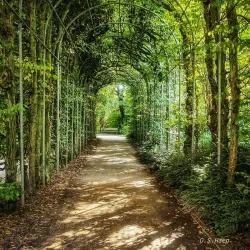 Flora and Botanical Garden - Cologne