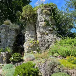 Flora and Botanical Garden - Cologne