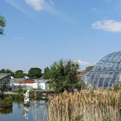 Flora and Botanical Garden - Cologne