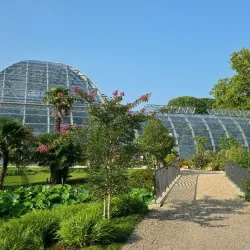 Flora and Botanical Garden - Cologne