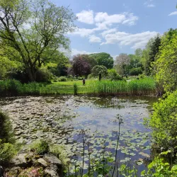 Flora and Botanical Garden - Cologne