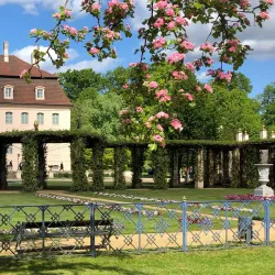 Branitz Park and Palace - Cottbus
