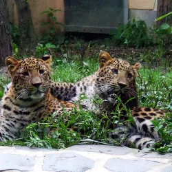 Cottbus Zoo - Cottbus