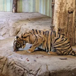 Cottbus Zoo - Cottbus