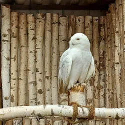 Cottbus Zoo - Cottbus