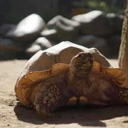 Cottbus Zoo - Cottbus