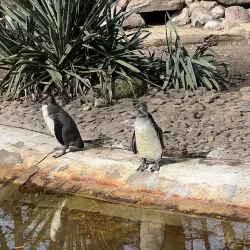 Cottbus Zoo - Cottbus