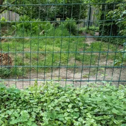 Cottbus Zoo - Cottbus
