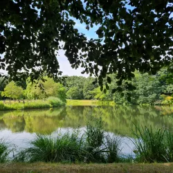Spreeauen Park - Cottbus