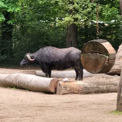 Spreeauen Park - Cottbus