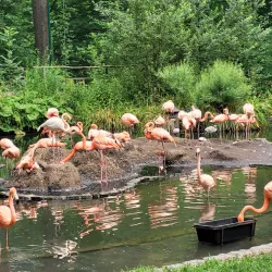 Spreeauen Park - Cottbus