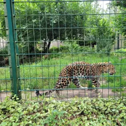 Spreeauen Park - Cottbus