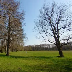 Spreeauen Park - Cottbus