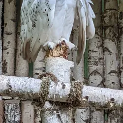 Spreeauen Park - Cottbus