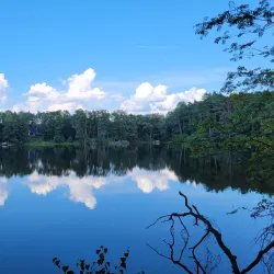 Spreewald Biosphere Reserve - Cottbus