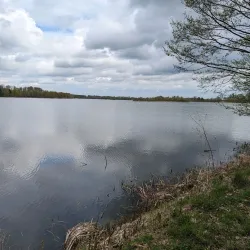 Spreewald Biosphere Reserve - Cottbus