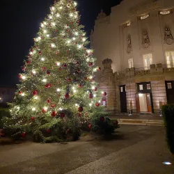 Staatstheater Cottbus - Cottbus