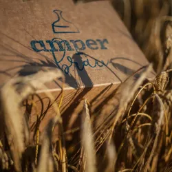 Dachau Brewery (Privatbrauerei Dachau) - Dachau