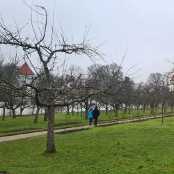 Dachau Palace (Schloss Dachau) - Dachau