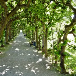 Dachau Palace (Schloss Dachau) - Dachau