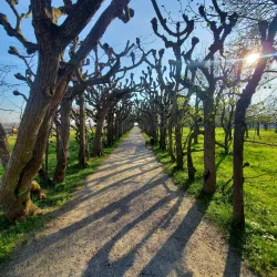 Dachau Palace (Schloss Dachau) - Dachau