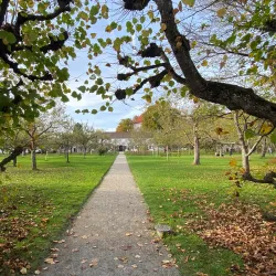 Dachau Palace (Schloss Dachau) - Dachau