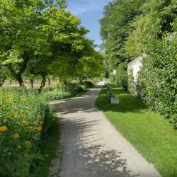 Dachau Palace (Schloss Dachau) - Dachau