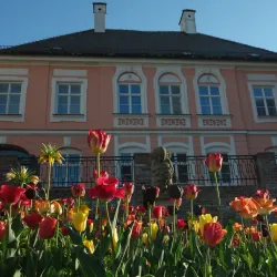 Museum of Local History (Heimatmuseum) - Dachau