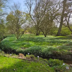 Botanical Garden of TU Darmstadt - Darmstadt