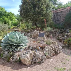 Botanical Garden of TU Darmstadt - Darmstadt