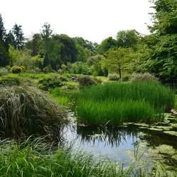 Botanical Garden of TU Darmstadt - Darmstadt