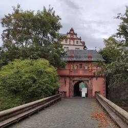 Darmstadt Palace (Residenzschloss) - Darmstadt