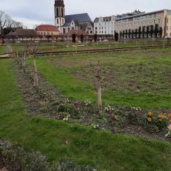 Herrngarten - Darmstadt