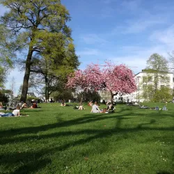 Herrngarten - Darmstadt