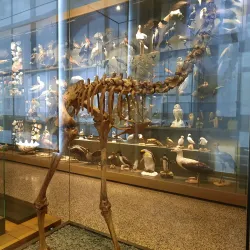 Hessisches Landesmuseum Darmstadt - Darmstadt