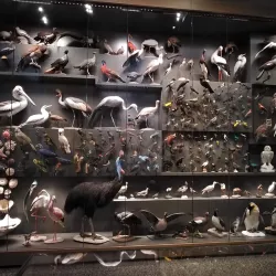 Hessisches Landesmuseum Darmstadt - Darmstadt