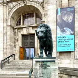 Hessisches Landesmuseum Darmstadt - Darmstadt