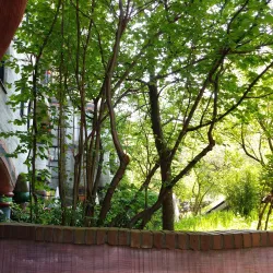 Waldspirale - Darmstadt