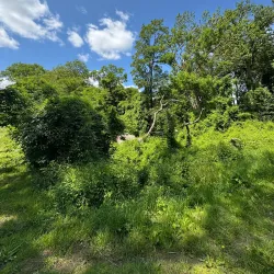 Demmin War Memorial - Demmin