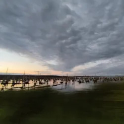 Peene River Walks - Demmin