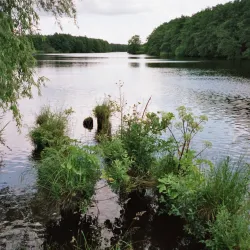 Peene River Walks - Demmin