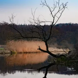 Tollense River - Demmin