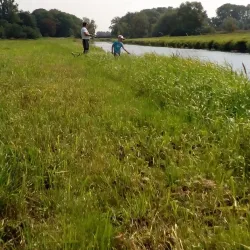 Tollense River - Demmin