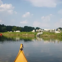 Tollense River - Demmin