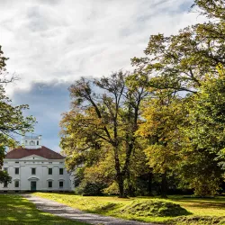 Georgium Palace and Park - Dessau