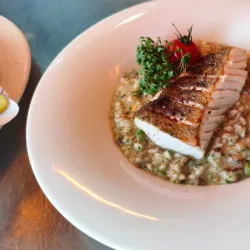 Kornhaus Dessau - Dessau