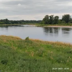 Kornhaus Dessau - Dessau