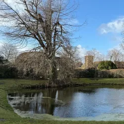 Mosigkau Palace and Park - Dessau